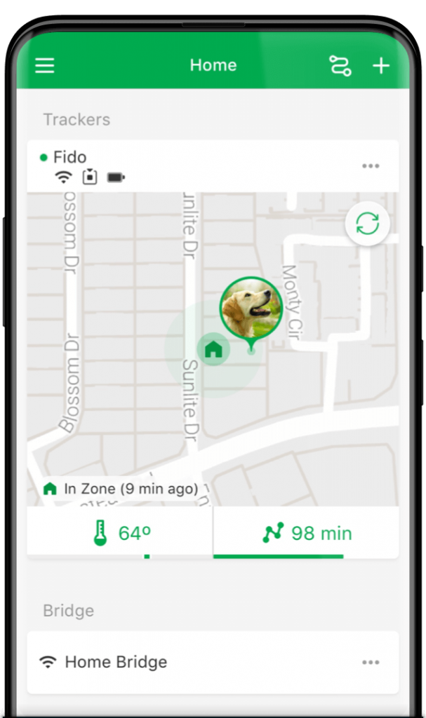 Design for an unreleased pet tracker feature within the Arlo app