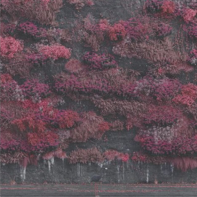 Album art for the album 'Even in Arcadia' by the band Sleep Token