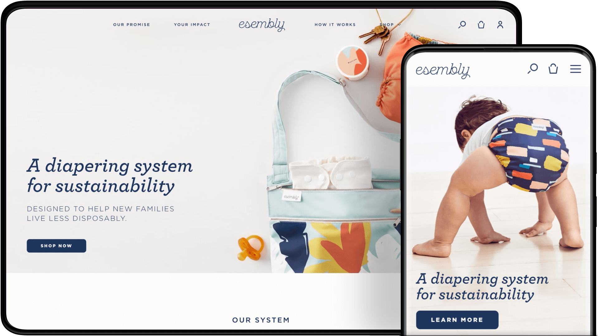 Hero image of Esembly website designs